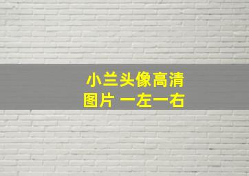 小兰头像高清图片 一左一右